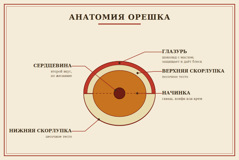 Схема «Анатомия орешка»: нижняя и верхняя скорлупки из песочного теста, начинка, центр с другим вкусом, глазурь из шоколада с маслом